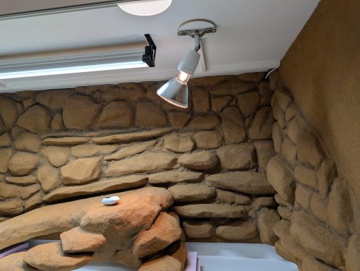 Rückwand für Bartagamen Rückwand für Bartagamen