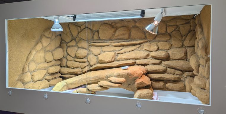 Rückwand für Bartagamen Rückwand für Bartagamen